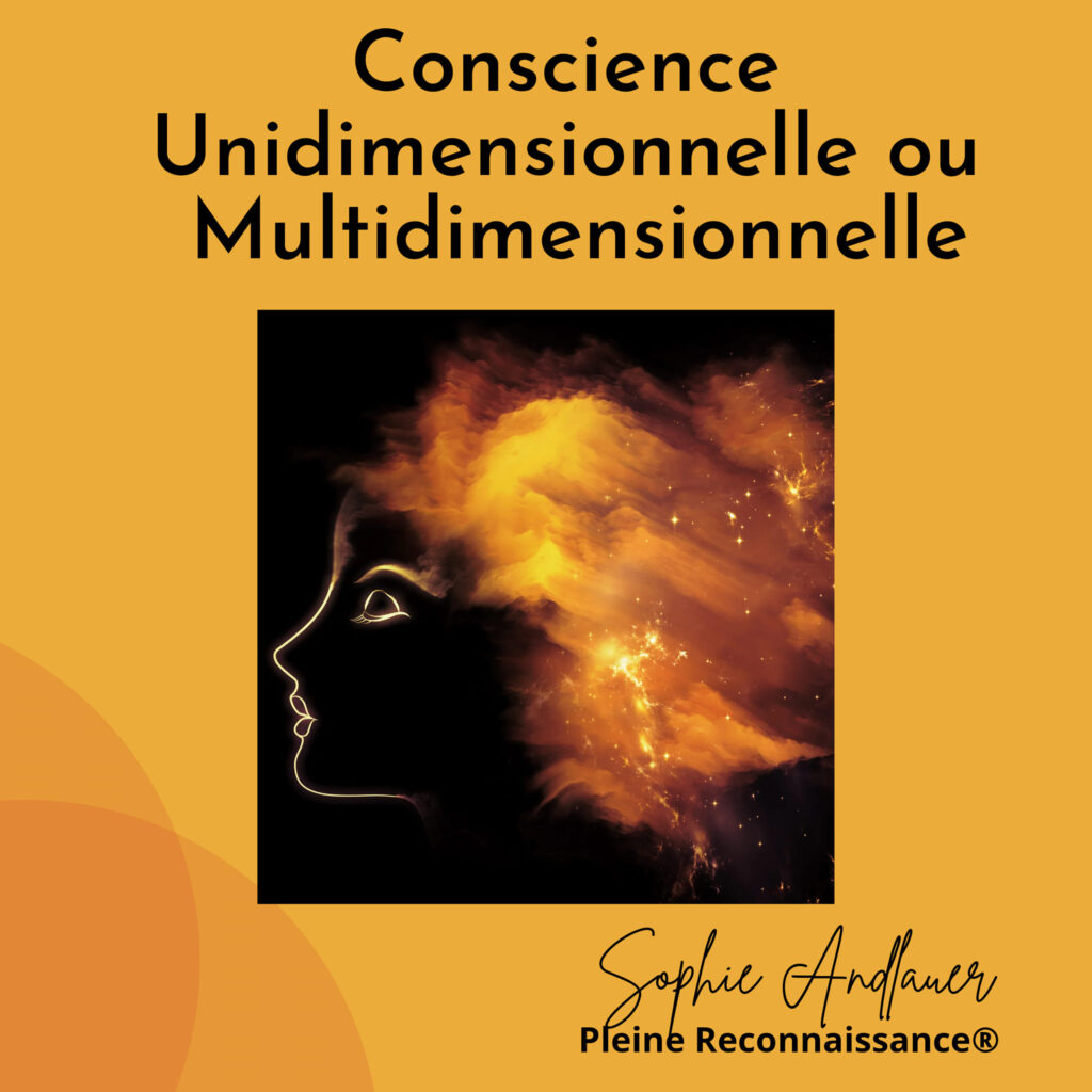 Conscience multidimensionnelle