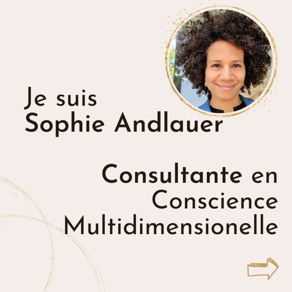 Présentation Sophie Andlauer 2