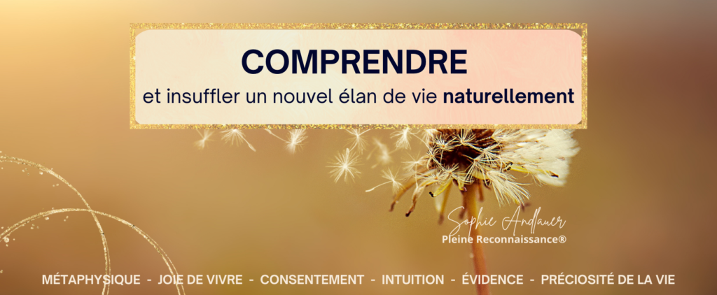 comprendre et insuffler un nouvel elan