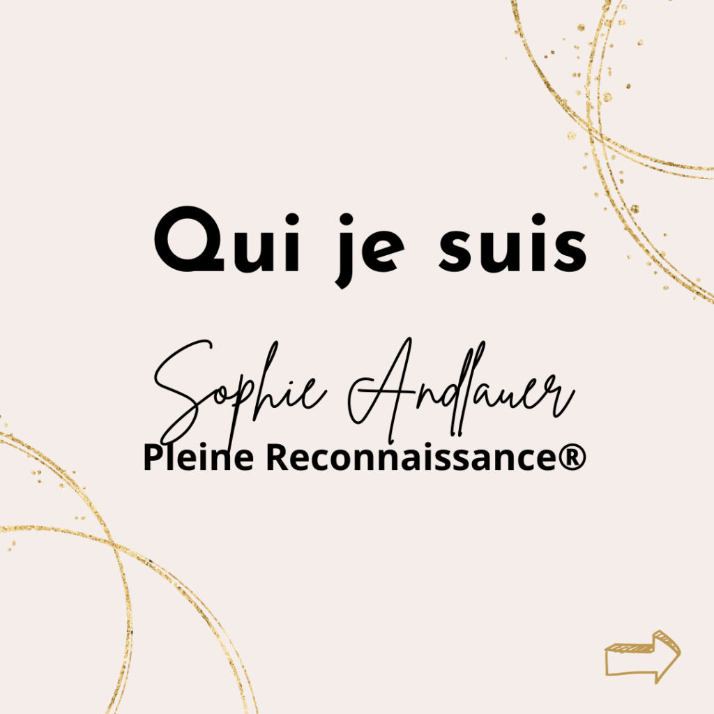 Présentation Sophie Andlauer 1